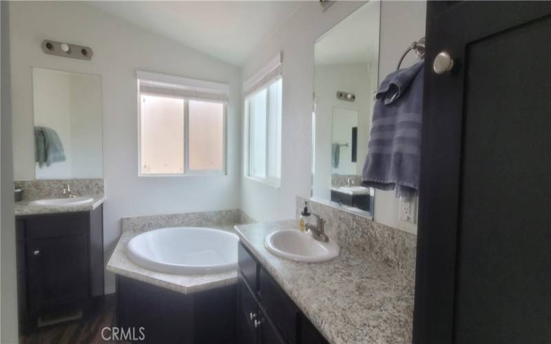 The Primary bathroom has double vanity sink.