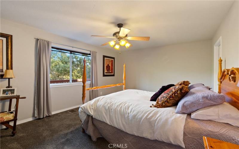 Downstairs bedroom with a HUGE walk in closet.  The amount of storage in this house is abundant!