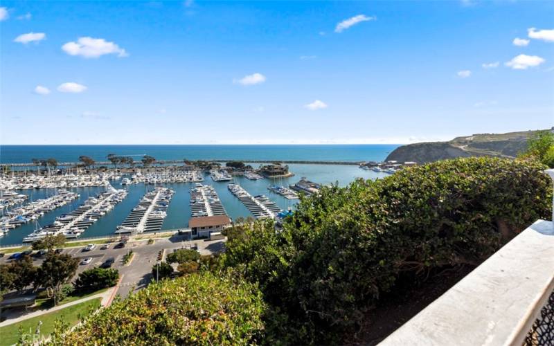 The Headlands and the Ocean Institute are on the right. This is a great vantage point to watch the Tall Ships in September as well!