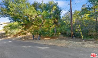 612 Reithe Avenue, Calabasas, California 91302, ,Land,Buy,612 Reithe Avenue,24468259