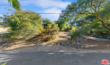 614 Reithe Avenue, Calabasas, California 91302, ,Land,Buy,614 Reithe Avenue,24468269