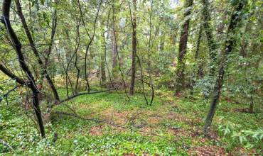 Hwy 9, Boulder Creek, California 95006, ,Land,Buy, Hwy 9,ML81987746