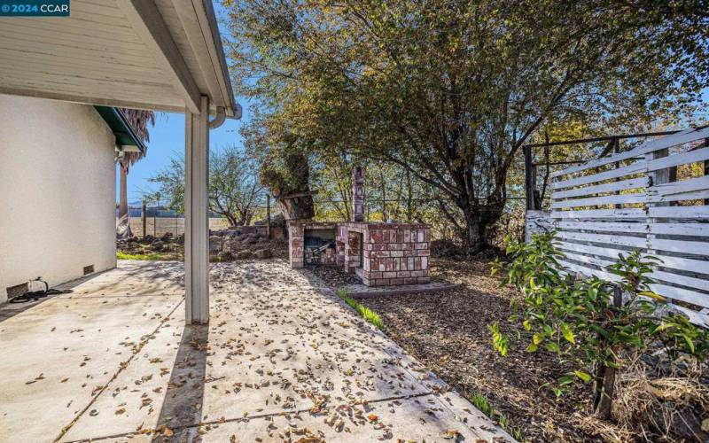 Back patio and fireplace / BBQ/ outdoor sink.  Chicken coop in the background