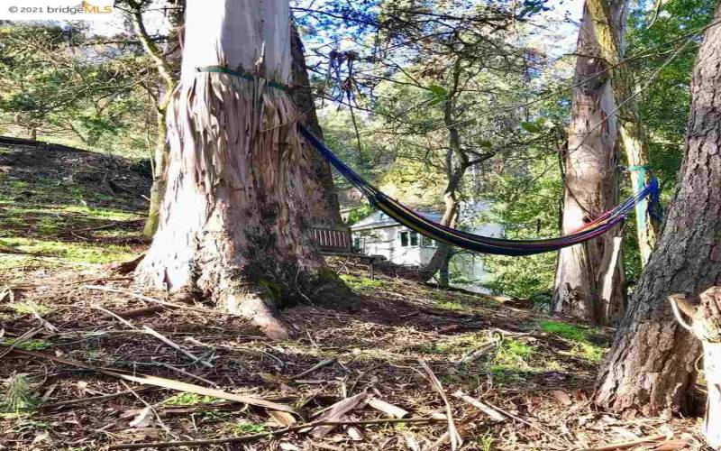 The hammock with 6408 just visible in the backgrou