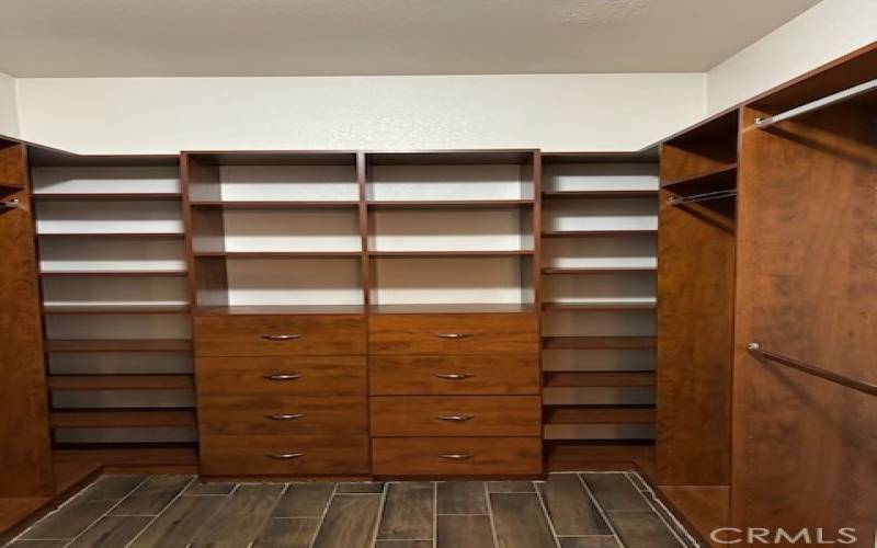 walk in closet with built-ins