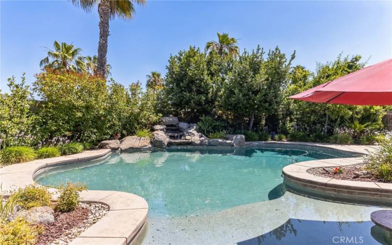 Backyard oasis Salt water pool