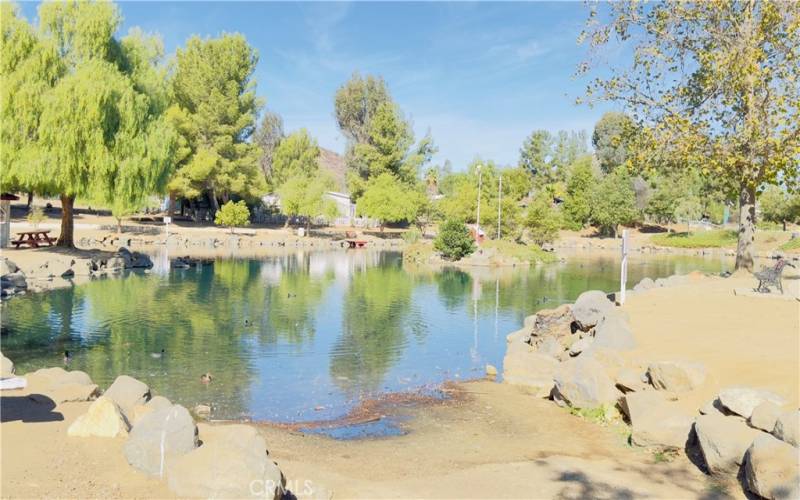 The Fish Pond at the Farm