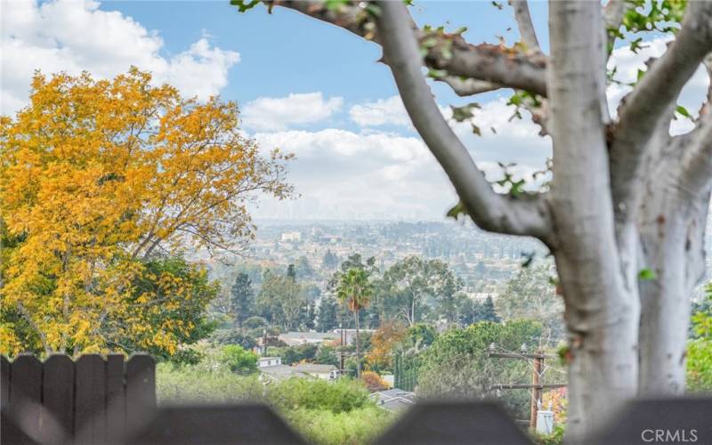 Stunning views from back patio