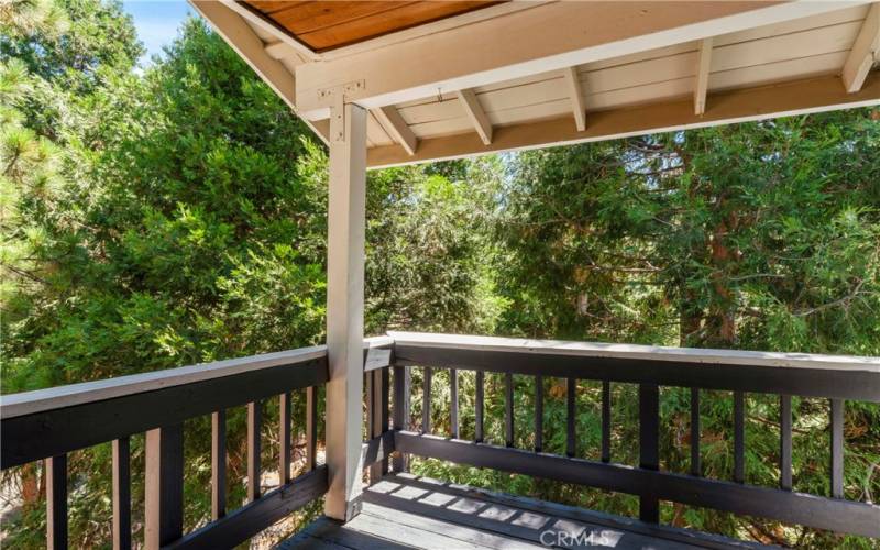 Tree View from main level deck