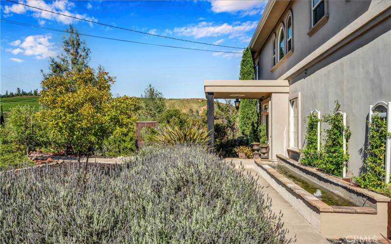 Picture perfect pairing of home and hillside vineyard in the distance.