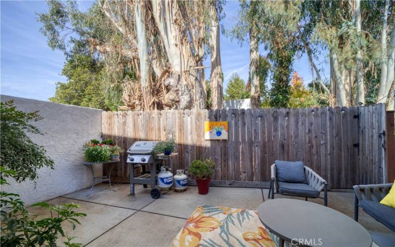 Patio off living room