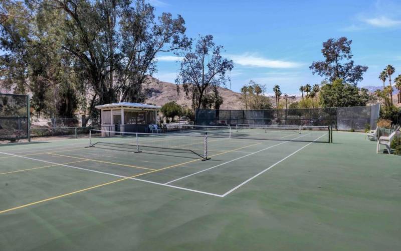 Tennis/Pickleball