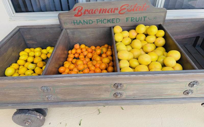 Fruit Hand Picked By Staff