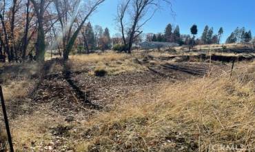 6394 Glendale Court, Magalia, California 95954, ,Land,Buy,6394 Glendale Court,SN24244948