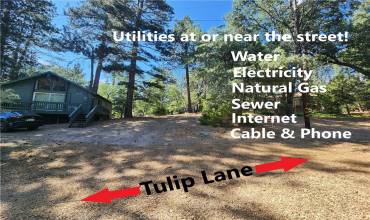 32754 Tulip Lane, Arrowbear, California 92382, ,Land,Buy,32754 Tulip Lane,RW24245122