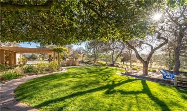 5679 Loma Verde Drive, Paso Robles, California 93446, 3 Bedrooms Bedrooms, ,2 BathroomsBathrooms,Residential,Buy,5679 Loma Verde Drive,NS24240789