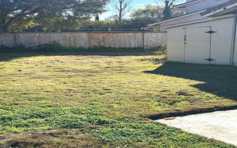 Storeage shed in Backyard