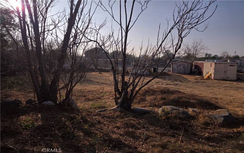 View from behind house