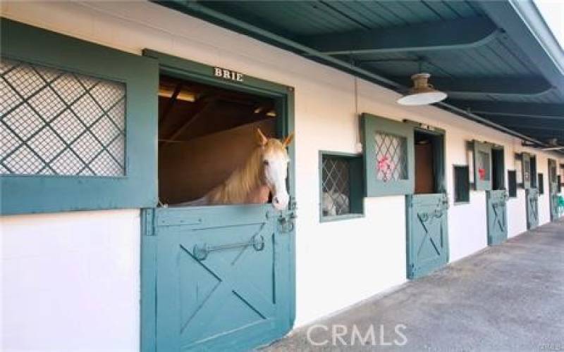 Giddy-Up! Our charming and unique equestrian facility offers boarding for resident-owned/lesson horses and a riding program (lessons/trail rides) for residents and their sponsored guests.