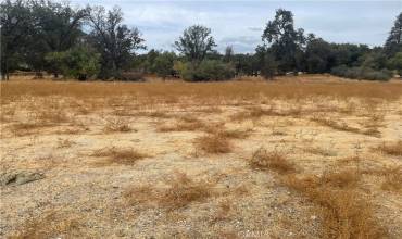 5 Junction Drive, Oakhurst, California 93644, ,Land,Buy,5 Junction Drive,FR24228182