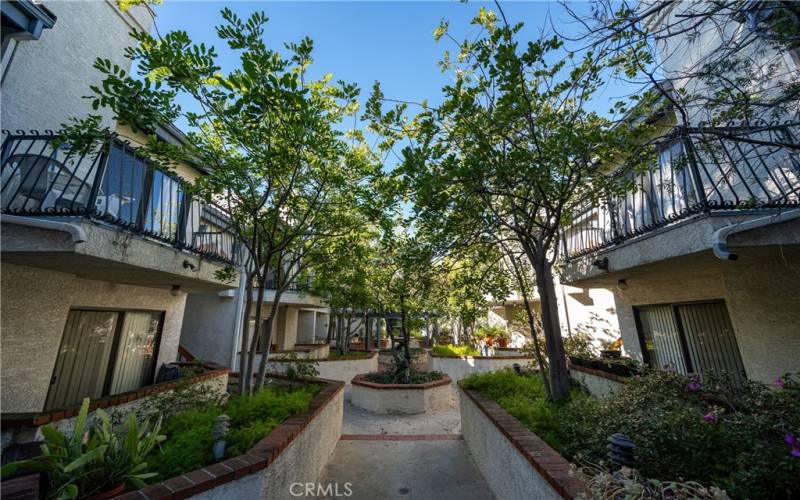 Garden courtyard