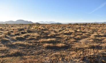 1500 Reed Avenue, Mojave, California 93501, ,Land,Buy,1500 Reed Avenue,SR24247330