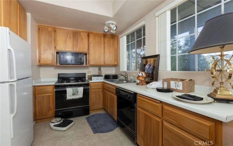 Apartment Kitchen with Tree Lined Views.