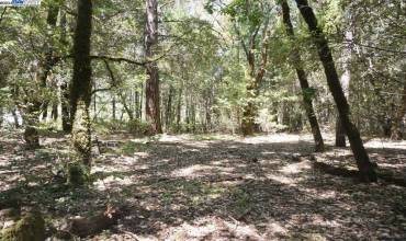 4271 State Hwy 299 Rd, California 95527, ,Land,Buy,4271 State Hwy 299 Rd,41080432