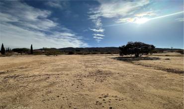 60450 Alta Mesa Drive, Joshua Tree, California 92252, ,Land,Buy,60450 Alta Mesa Drive,GD24247553