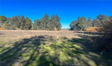 0 Lindsay Ave, Orland, California 95963, ,Land,Buy,0 Lindsay Ave,SN24247599