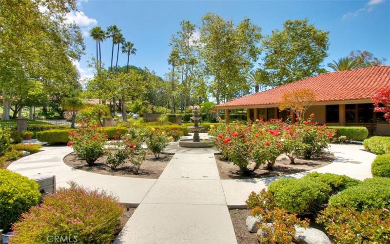 Rose garden at the club house