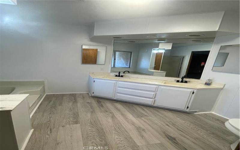 Double bowl sink/vanity area