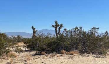 0 E Palmdale Boulevard, Palmdale, California 93552, ,Land,Buy,0 E Palmdale Boulevard,DW24246723