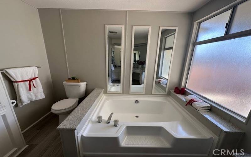 Master bathroom garden tub.