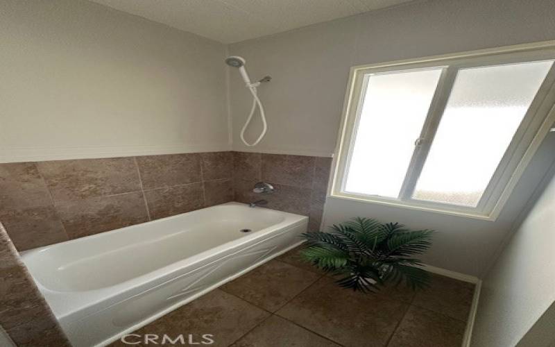 Guest tub/shower