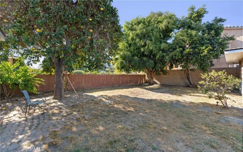 Spacious Fenced Backyard 1