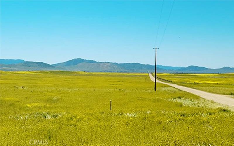 Looking West showing Bemont Trial