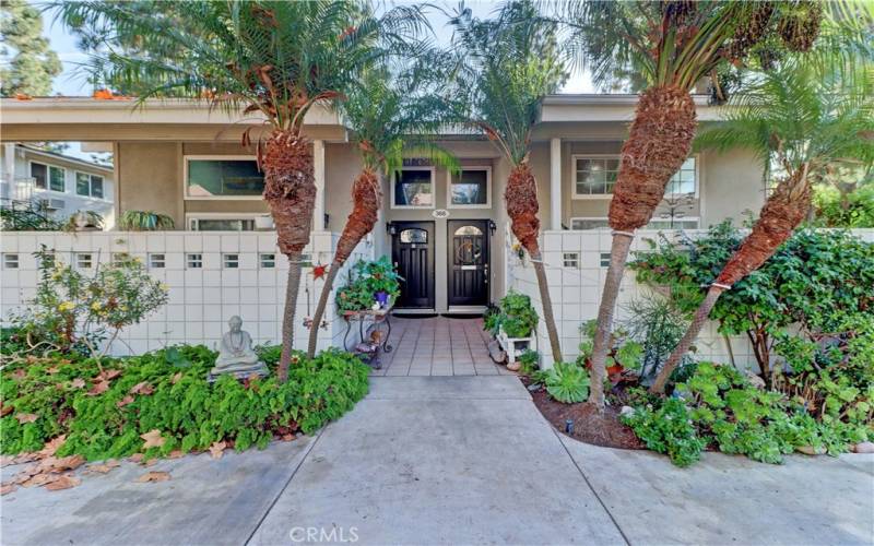 FRONT ENTRANCE GROUND-LEVEL, PALMS & LUSH LANDSCAPING