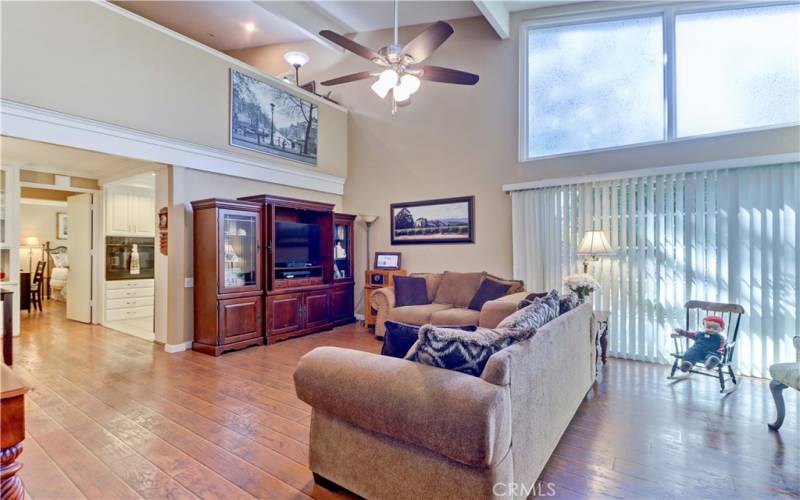 LIVING ROOM-CATHEDRAL CEILING & LARGE WINDOWS