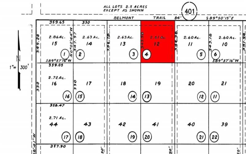 Assessor Map showing that is it at the Corner of Belmont and Burlington.