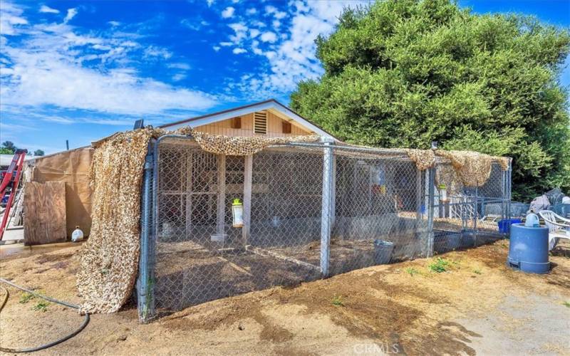 Chicken coop at back of guest house