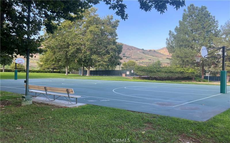 Association Basketball Court