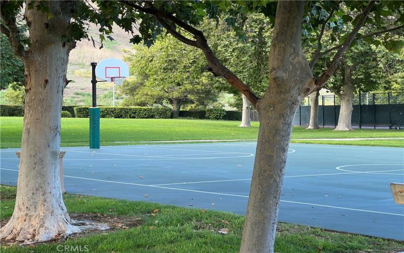 Association Basketball Court