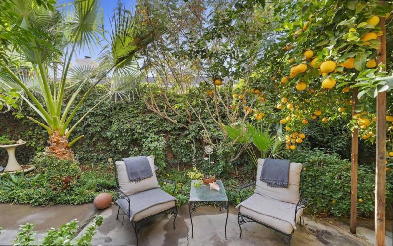 Garden Sitting area