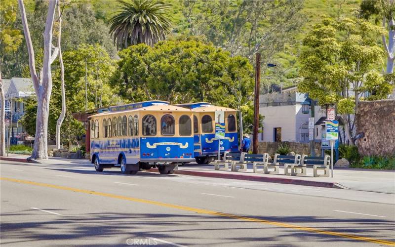 Walk or take Laguna Local Transit Services all over town