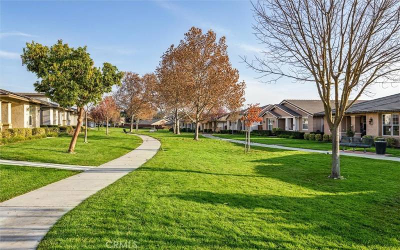 Green space on the paths to the Clubhouse