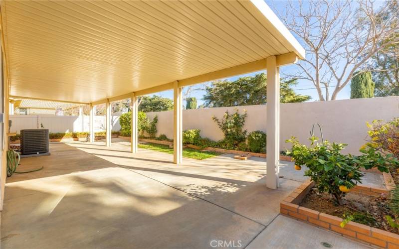 Slab patio with alumawood cover