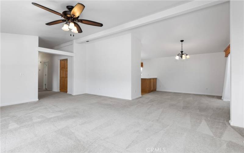 Large Living Room and Dining Room