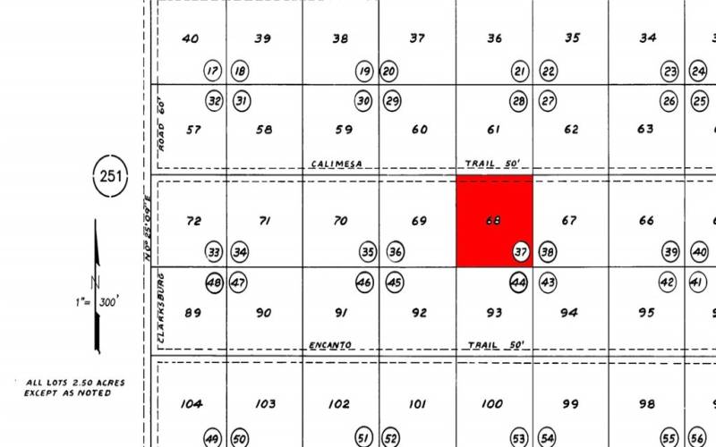 Assessor Map - Lot in Red - 2.5 acres