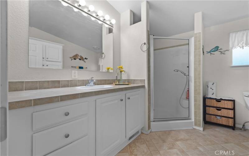 Primary bathroom with tall counter and walk in shower that has 2 shower heads.